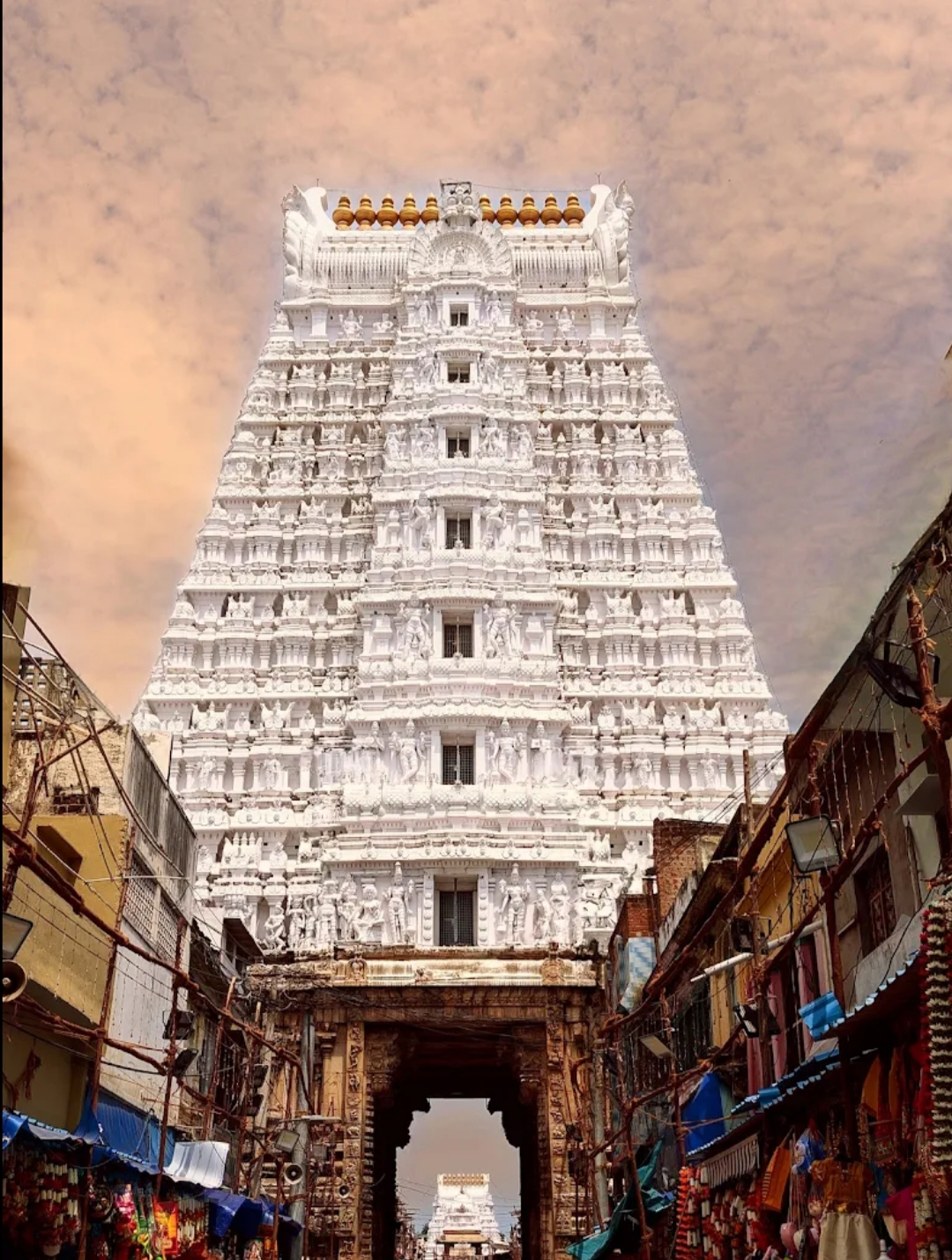Sri Govindaraja Swamy Temple