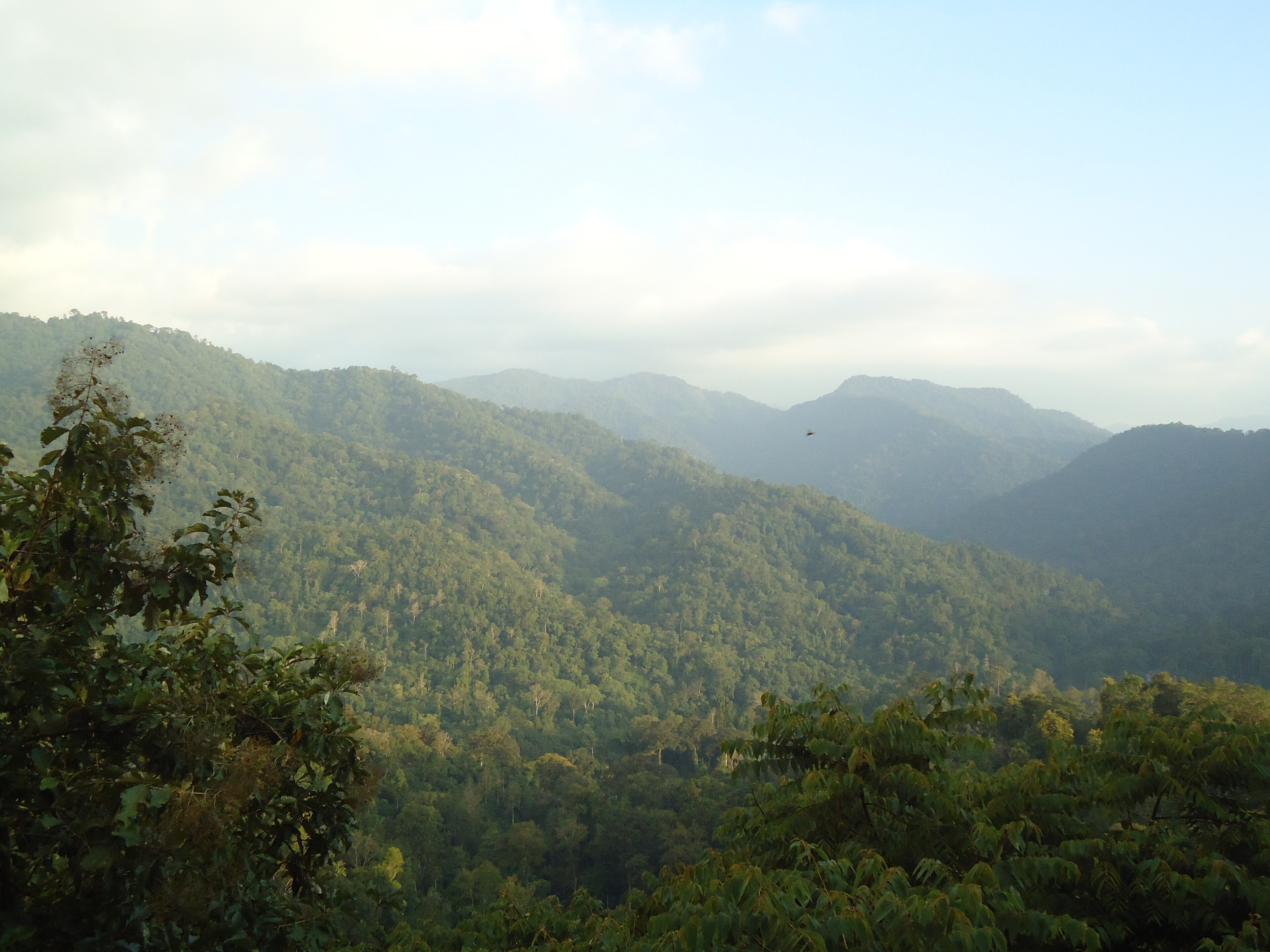 Sabarimala Sree Dharma Sastha Temple